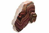 Free-Standing Polished Tiger Iron Stromatolite - Ga #222120-2